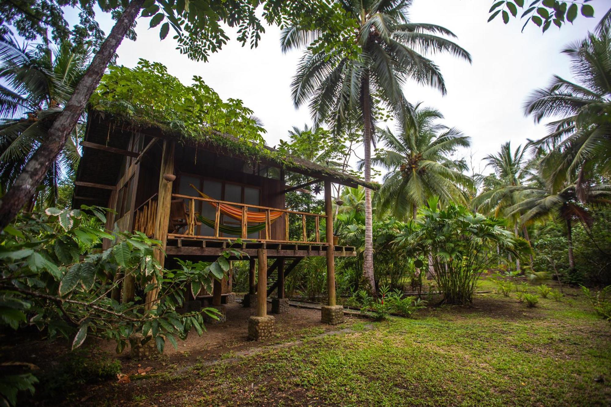 Jardin Botanico Del Pacifico Y Mecana Ecohotel Bahia Solano Extérieur photo